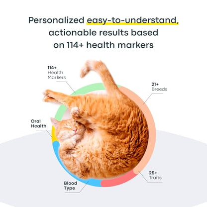 Basepaws Cat DNA Test Kit, Breed, Health & Dental Insights (Pack of 2) - size: 2 Count (Pack of 1)