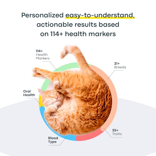 Basepaws Cat DNA Test Kit, Breed, Health & Dental Insights, 114 DNA Traits - size: 1 Count (Pack of 1)
