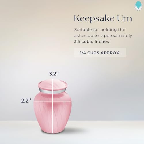 Embrace Keepsake Personalized Picture Cremation Urns for Human Ashes I Pearl Light Pink Photo Funeral Urn for Men and Women with Double Side Engraving I 3.5 lbs - color: Pearl Pink