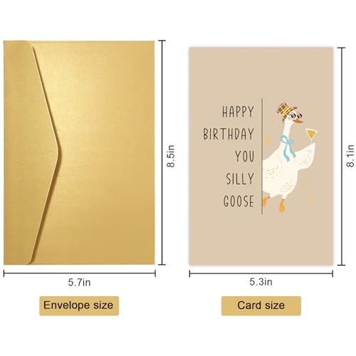 Obbyidk Funny Silly Goose Birthday Card for Him Her, Cute Goose Birthday Card for Son Daughter, Happy Bday Cards Gifts for Friend Family - color: Goose Birthday