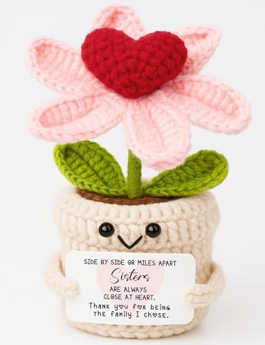 Sister Birthday Gifts from Sisters Brother, Thank you for being the family I chose Birthday Valentines Christmas, Mini Crochet Flower Affirmation Support Presents, Long Distance Gift for Bestie - color: Sisters2