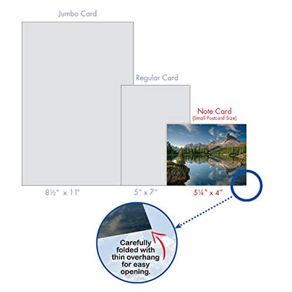 The Best Card Company - Box of 10 All Occasion Cards Blank (4 x 5.12 Inch) - Scenic Landscape Cards Assorted - Reflections M1728BN - style: Reflections