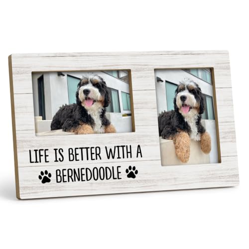 Bernedoodle Gifts Double Picture Frame 4x6, Dog Two Photo Frame - color: color-11