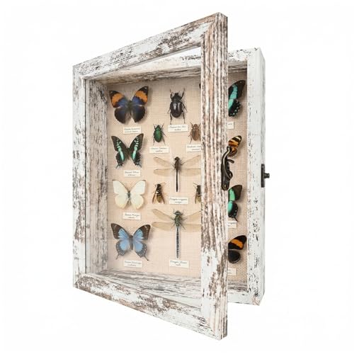 8×10 Shadow Box Frame, Linen Back, Glass Door, Hinge Display Case - color: Rustic White, size: 8×10