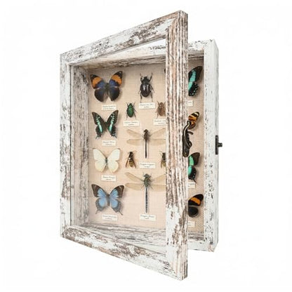 8×10 Shadow Box Frame, Linen Back, Glass Door, Hinge Display Case - color: Rustic White, size: 8×10