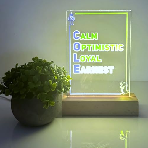 MIRROR MANIA Personalized Acronym Name & Words Night Light Up Robot and Dinosaur Frame – Nursery Kids Bedroom - Custom Birthday Holiday Gift Wood Base LED Boys Room Decor, Made in America.
