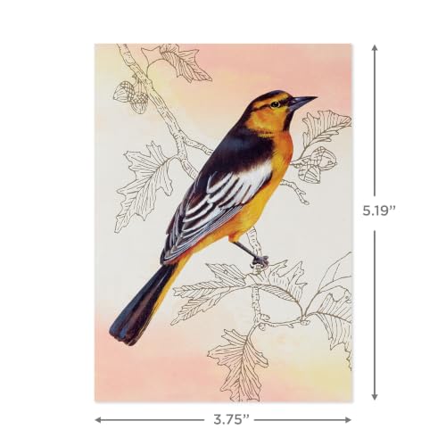 Hallmark Blank Cards with Envelopes, Assorted 24-Pack (Birds) - style: Birds
