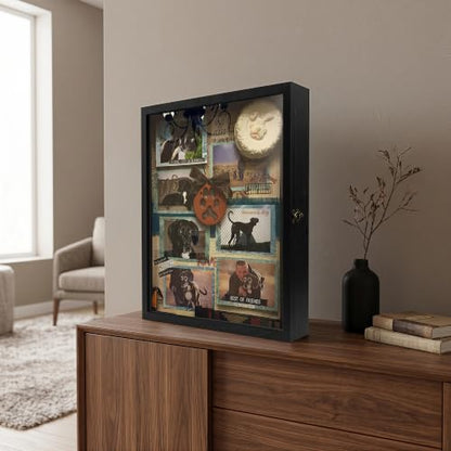 Graduation Shadow Box Frame 13x16,Black - color: Black, size: 13*16