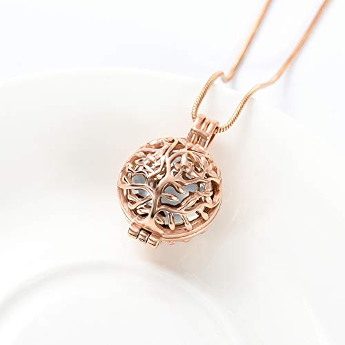 Cremation Jewelry Urn Necklace for Ashes with Hollow Mini Ball Keepsake Urn Pendant Memorial Jewelry for Ashes - color: Silver with Rose