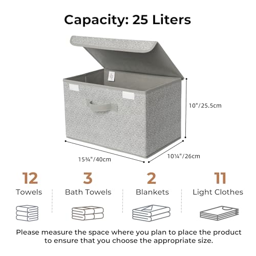 GRANNY SAYS Storage Baskets with Lids, Clothes Storage Boxes, Fabric Storage Bins, Keepsake Box, Closet Organizers and Storage, Gray, 2-Pack | Flip-Top Lid, Collapsible, Stackable, 3 Handles, Ideal for Closet Clothes Blanket Toys, Large, Gray, 2-Pack - co