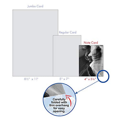The Best Card Company - 10 Blank Note Cards with Envelopes (4 x 5.12 Inch) - Black & White Photos, Bulk Boxed Set - Free Forms M3310 - style: Free Forms