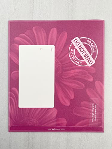 Freshcut Paper Pop Up Cards, Field of Daisies, 12 Inch Life Sized Forever Flower Bouquet 3D Popup Greeting Card, Birthday Cards, Get Well Gifts, Blank Notecard & Envelope - color: Field of Daisies New, size: Classic