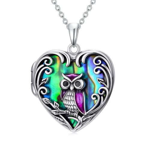 JKR Heart Picture Locket Necklace for Women That Holds Pictures Jewelry | Memorial Necklace with Picture Anniversary Birthday Gift for Women Wife Mom Girlfriend - color: Owl