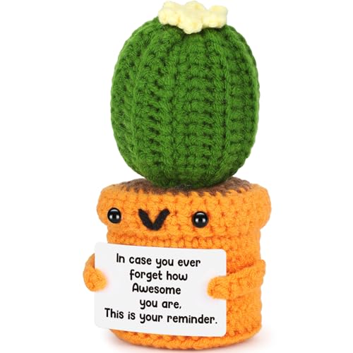 Agantree art Cactus Decor Positive Inspirational Thinking of You Crochet Cactus Positive Inspirational Gifts for Women Birthday Gifts for Coworker Handmade Crochet Christmas - style: Awesome