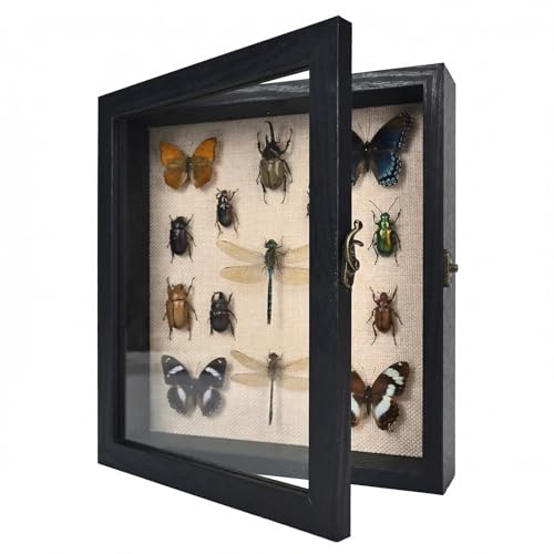 8×10 Shadow Box Frame, Linen Back, Glass Door, Hinge Display Case | shadow box display case features linen back, real glass hinged door, perfect for displaying medals, bouquets, and keepsakes. - color: Rustic Black, size: 8×10