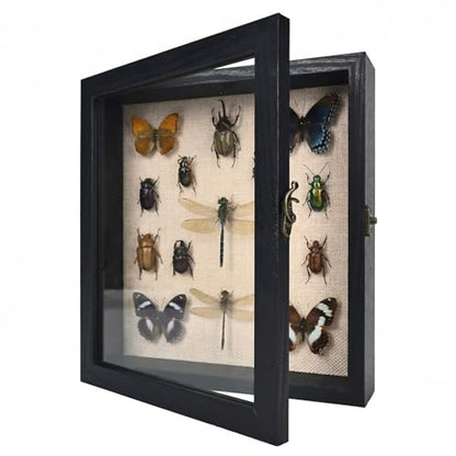 8×10 Shadow Box Frame, Linen Back, Glass Door, Hinge Display Case - color: Rustic Black, size: 8×10