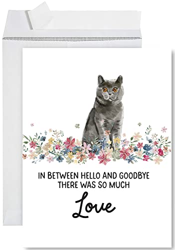Andaz Press Jumbo Pet Sympathy Card with Envelope, Sorry For Your Loss, British Shorthair Cat, Pet Loss, Cat Grief Bereavement Card with Big Blank Space to Send to Friends, Family, 8.5" x 11", 1-Pack - color: British Shorthair Cat