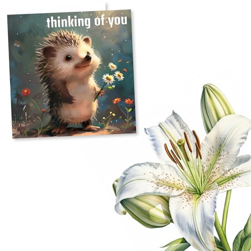 Card Thinking of You, Sympathy, Condolences - Positive Thoughts, Hedgehog | for Family, Friend, Colleague, Him, Her, Hard Times, Get Well - from All of Us - Daisies - Blank Inside, with Envelope