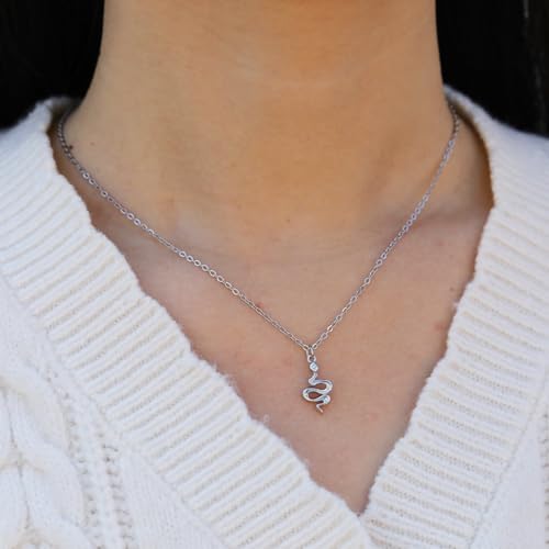 Baydurcan Pendant Necklace for Women Friends Sister Birthday Christmas Gift | Silver Evil Eye Ankh Mary Friendship Dragonfly Hummingbird Snake Turtle Pendant Necklace for Her Just Because Gifts - style: Snake