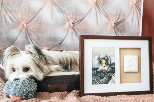 Pearhead Pawprints Picture Frame and Air‑Dry Clay Kit, Espresso - color: Espresso Clay Print Wall Frame