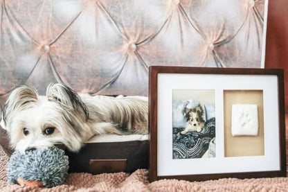 Pearhead Pawprints Picture Frame and Air‑Dry Clay Kit, Espresso - color: Espresso Clay Print Wall Frame