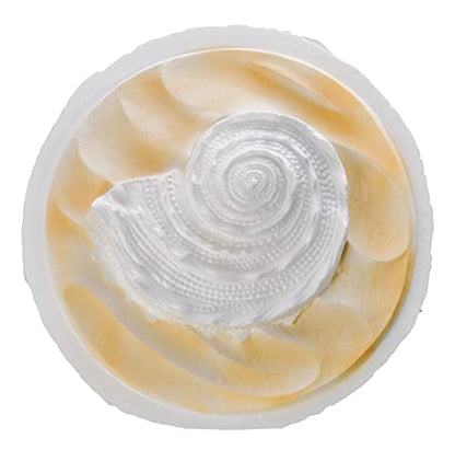 Biodegradable Urn for Scattering Cremated Ashes in Ocean Water, Ground or Sea Burial, Earth Friendly Eco Ashes (Oceanside Shell White Biodegradable Urn) W-304 - color: Oceanside Shell White