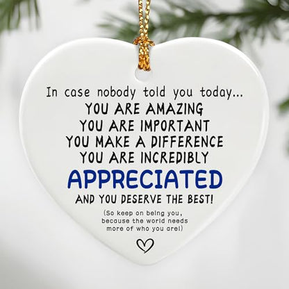 in Case Nobody Told You Today: You are Amazing, Important & Make a Difference - Affirmations Sign | Office Gift, Appreciation Gifts, Thank You Gifts, Going Away, Retirement Gift | Christmas Ornament - color: Deserve the Best