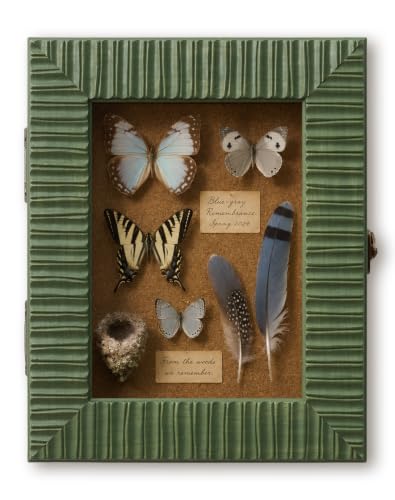 8x10 Boho Shadow Box Frame for Botanical Specimens Plant Print,Sage Green - color: Sage Green, size: 8x10