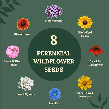 Freebird Wildflower Seeds for Bees & Butterflies - 22 Variety Mix - 4 oz