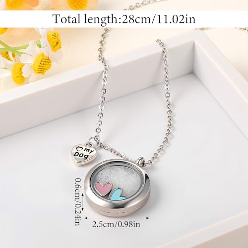 Pet Fur Memorial Necklace Dog Cat Ashes Hair Keepsake Necklace Small Transparent Glass Circle Chain Pet Urn Pendant Memorial Jewelry for Men Women Vial Souvenir