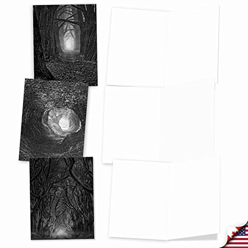 The Best Card Company - 10 Blank Note Cards with Envelopes (4 x 5.12 Inch) - Black & White Photos, Bulk Boxed Set - Pathways AM6280OCB-B1x10 - style: Pathways