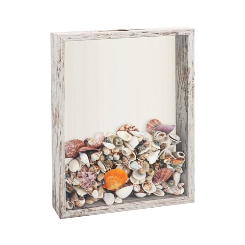 FramePro Shadow Box Seashell Collection White 11x14 Top Loading Display Case Frame with Slot, Movie Travel Sporting Events Concert Ticket Stubs Drink Beer Caps Memory Keepsake Box - color: White, size: 11x14