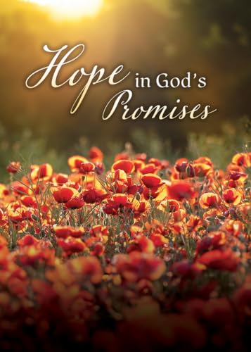 Warner Press Card-Boxed-Glimmers of Hope Assorted Sympathy (KJV) (Box of 12)