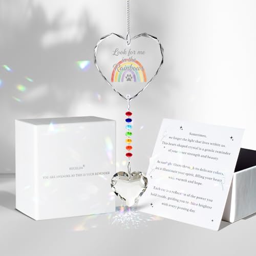 Hegelda Pet Memorial Gifts for Dogs Cats Crystal Suncatcher Ornaments - style: Dog/Cat