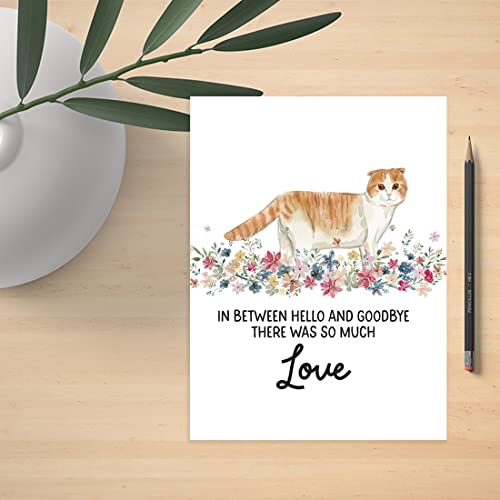 Andaz Press Jumbo Pet Sympathy Card with Envelope, Sorry For Your Loss, Scottish Fold Cat, Loss Of Pets, Cat Grief Bereavement Card with Big Blank Space to Send to Friends, Family, 8.5" x 11", 1-Pack - color: Scottish Fold Cat