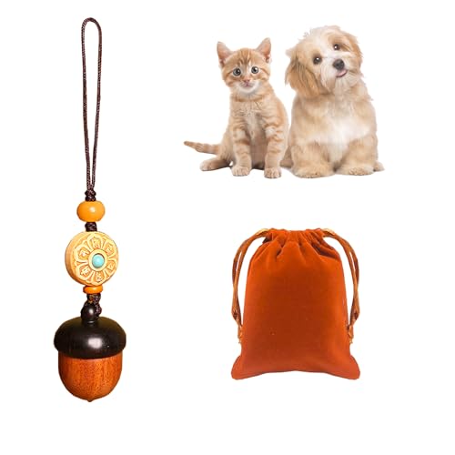 Pet Dog Urn Keychain for Ashes with Storage Bag Small Cat Cremation Keepsake Urn Pendant Pet Ashes Keepsake chain