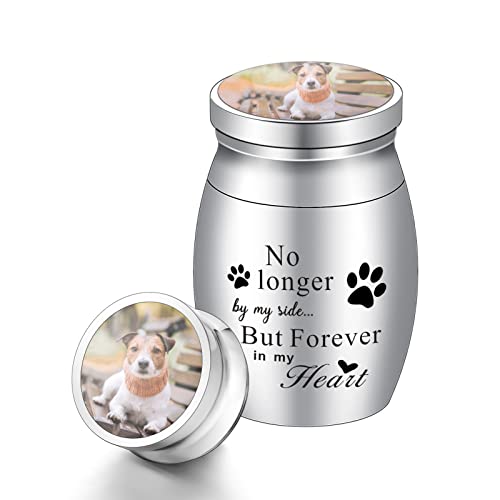 XIUDA 1.57 inches Mini Pet Memorial Small Urns for Dog and Cat Ashes, Stainless Steel Cremation Urn, Pet Paw Print Keepsake Urn for Ashes - color: S Silver-photo&text-engraving