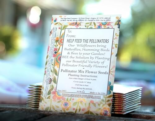 25 Wildflower Seed Packets - Pollinator Seed Mix for Guests - Thank You Gifts Party Favors - Gifts Wild Flower Throw and Grow Perennial Annual Mix to Attract Pollinators Bees - Hummingbirds Non-GMO - size: Pack of 25