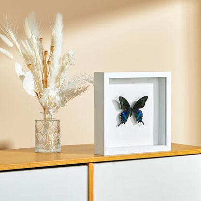 Travel Adventure Archive Shadow Box Frame with Slot, 8x8in White - color: White, size: 8x8in