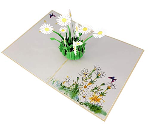 iGifts And Cards White Daisy Bouquet 3D Pop-Up Card in Full Bloom 4.75x6.75 | Spring Floral Keepsake, Mother's Day, Get Well, Sympathy, Birthday For Her, Garden Lover, Wife, Friend, Bouquet Design - color: White Daisies