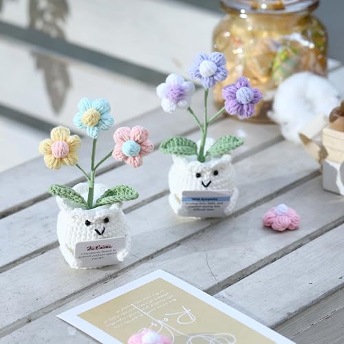Valentines Day Anniversary I Love You Gifts for Women Her Wife Girlfriend Him Handmade to My Love Crochet Flower Wedding Birthday Gift for Husband Boyfriend Couple with Je t’aime (I Love You) - color: E- Je T’aime (I Love You)