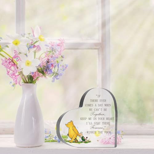 Goodbye Farewell Gifts for Women, Winnie Friendship Keepsake Acrylic, Thank You Appreciation Gifts for Coworker Friends Sister Besties Birthday, Desk Home Winnie Decor Sign Plaque - style: Winnie 009