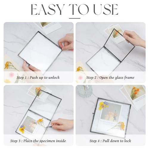 REDHUGO Double Glass Frame for Pressed Flowers, Square, Black, 4x4 Inches - color: Black, size: 4L" x 4W"