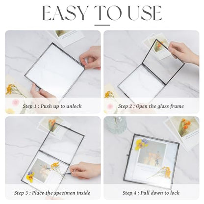 REDHUGO Double Glass Frame for Pressed Flowers, Square, Black, 8x8 Inches - color: Black, size: 8L" x 8W"