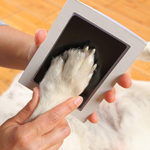 Green Pollywog Paw Print & Nose Print Keepsake Kit with Ink Pad - size: Paw Print Frame Kit - White