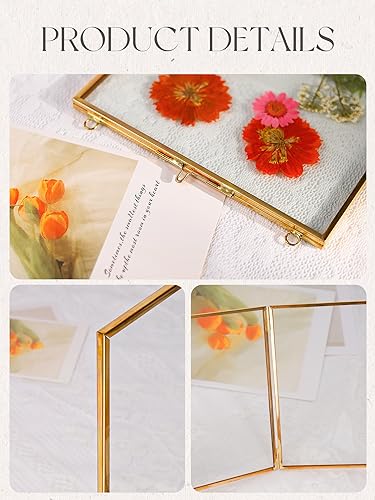 REDHUGO Glass Pressed Flower Frames, Square, Gold, 4x4 Inches - color: Gold, size: 4L" x 4W"