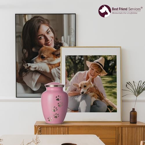 Ottillie Legacy Pink/Pewter/Vert Urn, up to 25lbs - color: Ardent Pink, Vertical Pewter Paws, size: Small