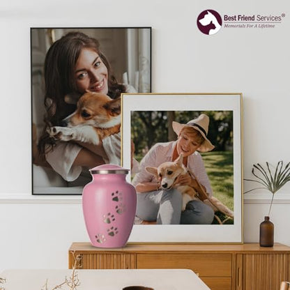 Ottillie Legacy Pink/Pewter/Vert Urn, up to 25lbs - color: Ardent Pink, Vertical Pewter Paws, size: Small