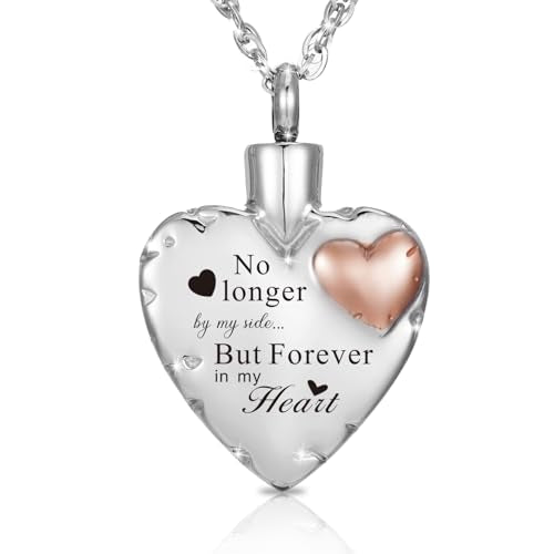 Decor Urns Heart Urn Necklace Ashes Cremation Jewelry for Women Men Keepsake Pendant Memorial Ash Locket Holder - style: 1pcs ashes necklace