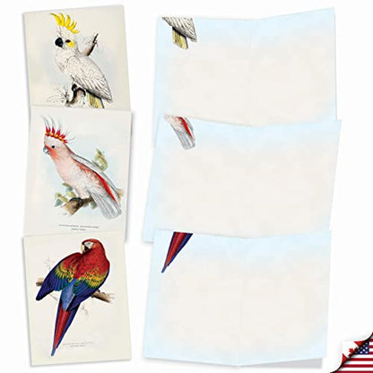 The Best Card Company - 10 Assorted Blank Notecards Bulk Box Set 4 x 5.12 Inch with Envelopes (10 Designs, 1 Each) - Birds of a Feather M6034 - style: Birds of a Feather